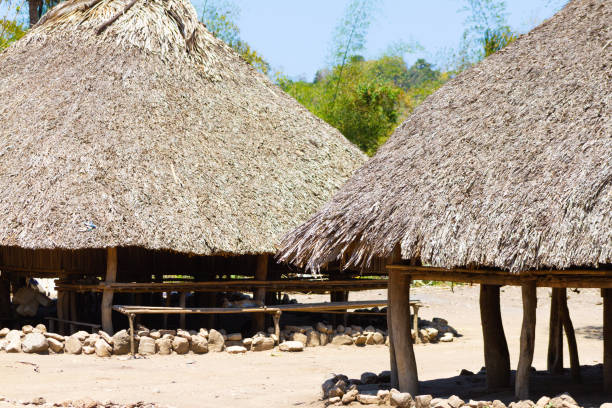 istock traditional house was from Suai Covalima Timor Leste 1299979683
