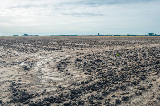 istock Plowed field after the rain 1299979864