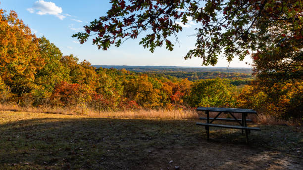 istock Fall foliage at Brown County State Park, Indiana 1299980877
