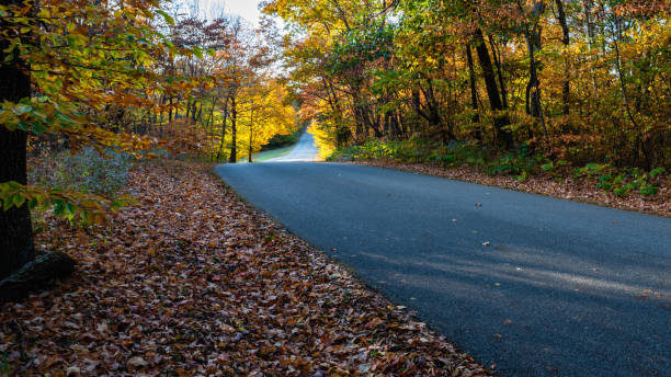 istock Fall foliage at Brown County State Park, Indiana 1299980884