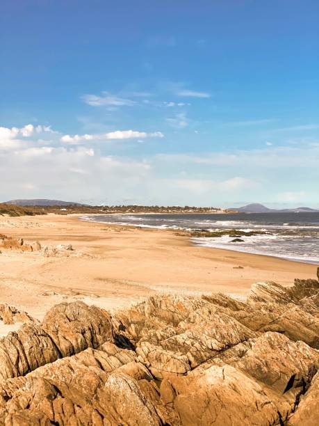 istock Shades of yellow on the beach 1299981209