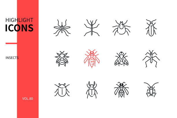 Insects collection - modern line design style icons set Insects collection - modern line design style icons set on white background. Images of mosquito, stick insect, tick, firefly, bumblebee, hornet, horsefly, water strider, stag beetle, wasp, cricket bee water stock illustrations