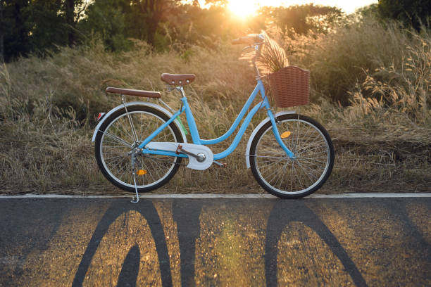 istock Vintage bicycle with summer grass field at sunset background 1299982201