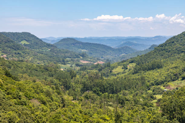 istock Forest over mountain, valley and farm plantation 1299982300