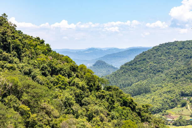 istock Forest over mountain, valley and farm plantation 1299982422