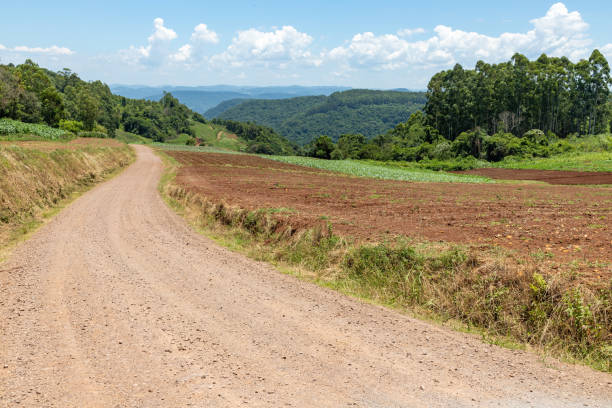 istock Farm plantation with valley and dirty road 1299982798