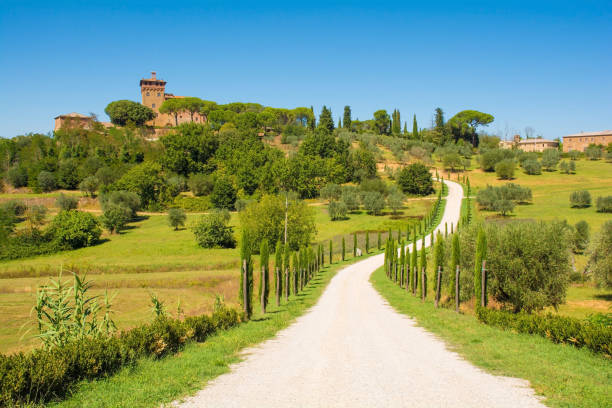 Landscape Near Pienza in Tuscany The late summer landscape around Pienza in Val d'Orcia, Siena Province, Tuscany, Italy crete senesi stock pictures, royalty-free photos & images