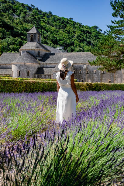 senanque abbey gordes provence lavender campos notre-dame de senanque, florecientes campos de lavanda azul púrpura luberon francia - senanque fotografías e imágenes de stock