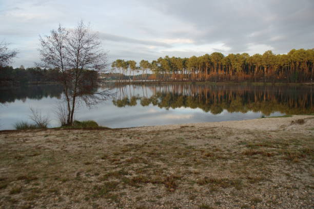 istock View of a lake surrounded by tree during the summer 1299990945