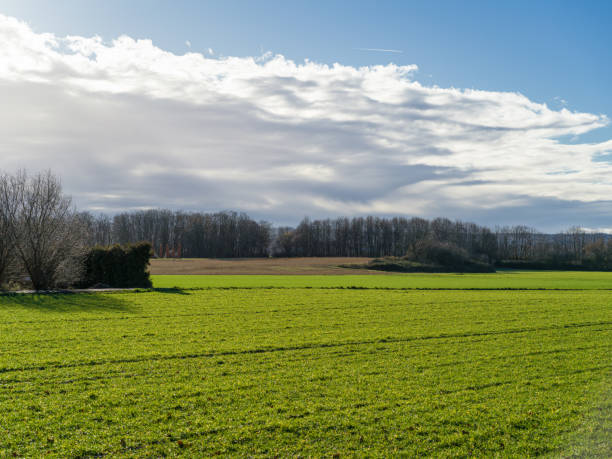 istock View over a field after the storm has receded. 1299998168