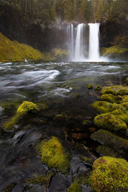 istock Koosah falls on Mackenzie river in the cascades in Oregon 1299999630