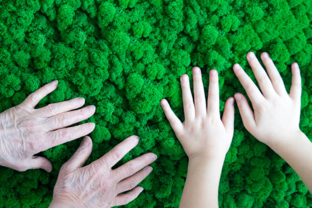 green moss on the wall in the office
