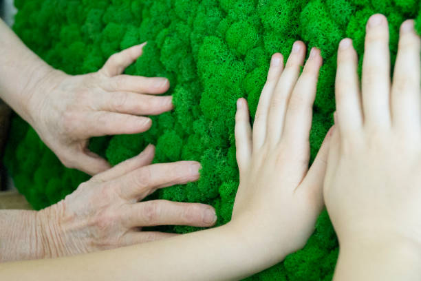 green moss on the wall in the office