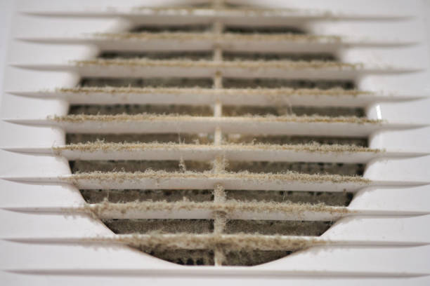 istock Dirty air ventilation grill of HVAC with clogged filter. 1300003012