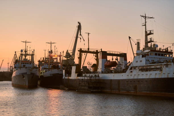 istock Ships in sea port on sunset background 1300003057