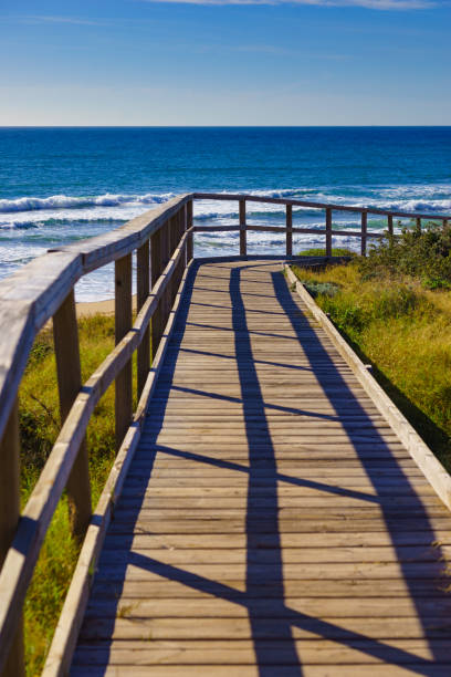 istock Beach with wooden path to sea water. 1300003382