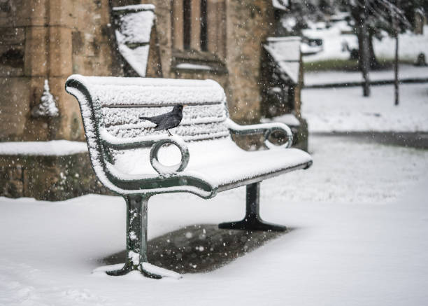 banc dans le cimetière de scène de chute de neige et la cour d’église avec des pierres tombales et l’oiseau noir sauvage restant dans la neige réglée sur la ville locale de village de sol mansfield nottinghamshire sutton arbres et paysage - banc déglise photos et images de collection