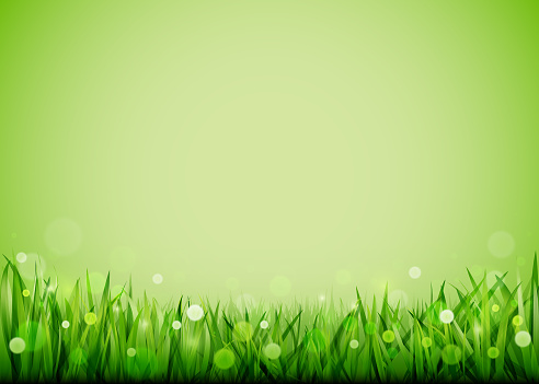Fresh spring grass green background for use on a spring sale poster