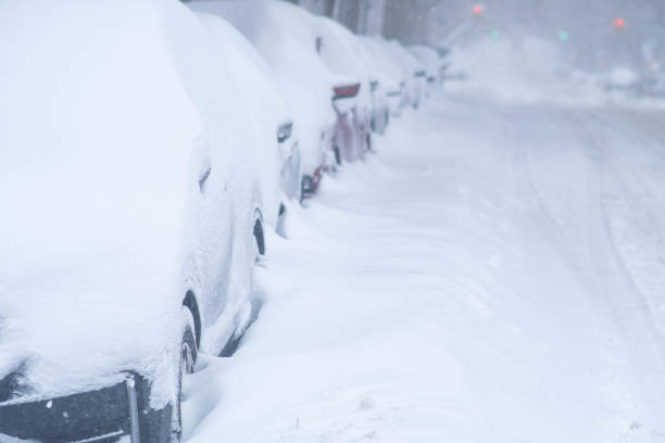 istock Snow covered cars in NYC 1300005158