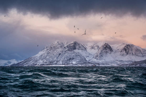 montañas frías desoladas y remotas cubiertas de nieve, terreno extremo en los fiordos árticos del norte de noruega - mountain mountain range norway fjord fotografías e imágenes de stock