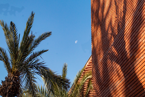 Marrakesh, Morocco - January 16, 2020: Morning light on the beautiful Yves Saint Laurent Museum