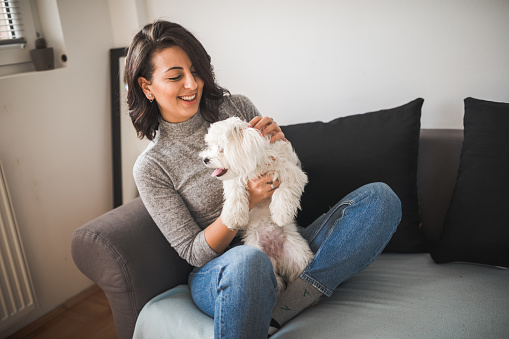 Young woman holding her white puppy and enjoying their time together. She is sitting on the sofa at home.