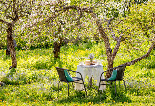 istock Springtime in home blooming apple garden concept. Table set with tea cups, boho reuse jar vase with forget me not flowers( Myosotis). Stack of books on white tablecloth. 1300009467