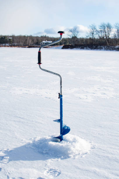 istock Ice fishing, fresh fish on ice. 1300010462