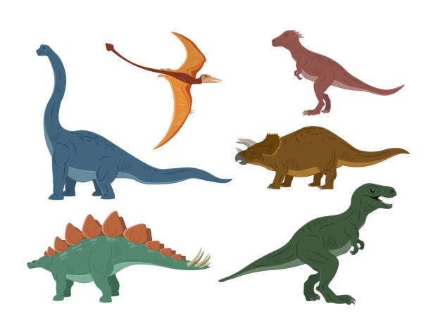 ilustraciones, imágenes clip art, dibujos animados e iconos de stock de diferentes tipos de ilustración de dinosaurios. dinosaurios personaje de dibujos animados. brachiosaurus, pterodáctilo, tiranosaurio rex, esqueleto de dinosaurio, triceratops, estegosaurio. - dinosaur fossil tyrannosaurus rex animal skeleton