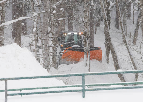 istock snow removal in the country 1300014180