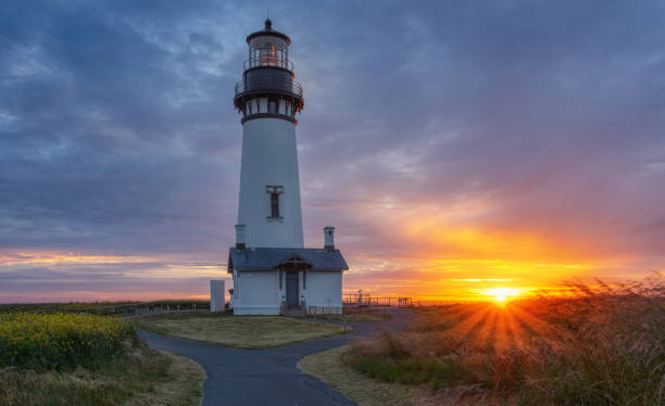 istock Yaquina Head Lighthouse at sunset 1300016915
