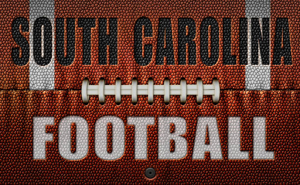 South Carolina Football Text on a Flattened Football The words, South Carolina Football, embossed onto a football flattened into two dimensions. 3D Illustration south carolina football stock pictures, royalty-free photos & images