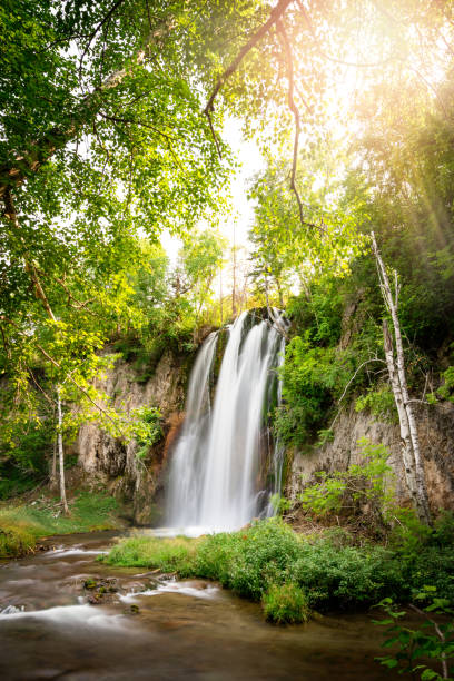 spearfish falls dakota do sul - black hills - fotografias e filmes do acervo