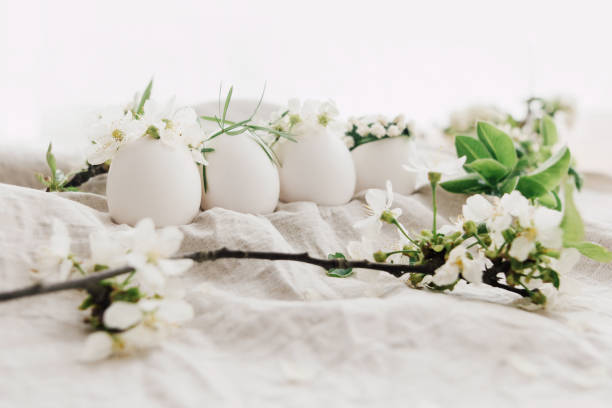 istock Natural easter eggs in floral crowns on linen fabric with blooming spring branch and white petals 1300022529