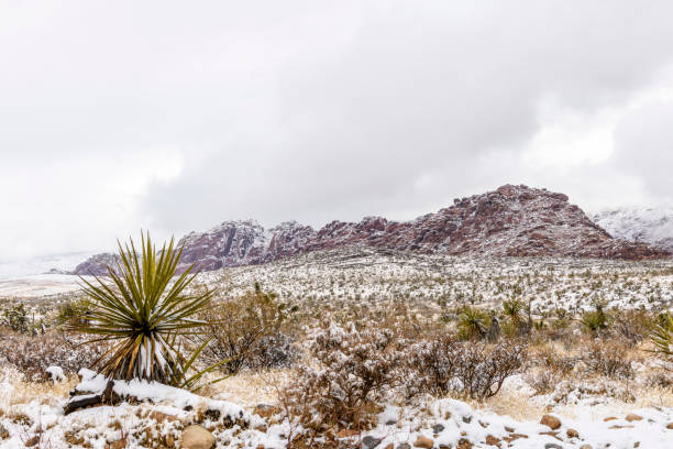 istock Red Rock Canyon National Conservation Area 1300024764