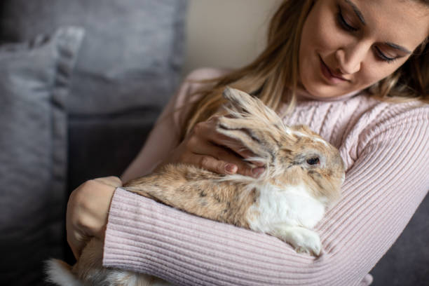 istock Beautiful young woman and her bunny pet 1300028268
