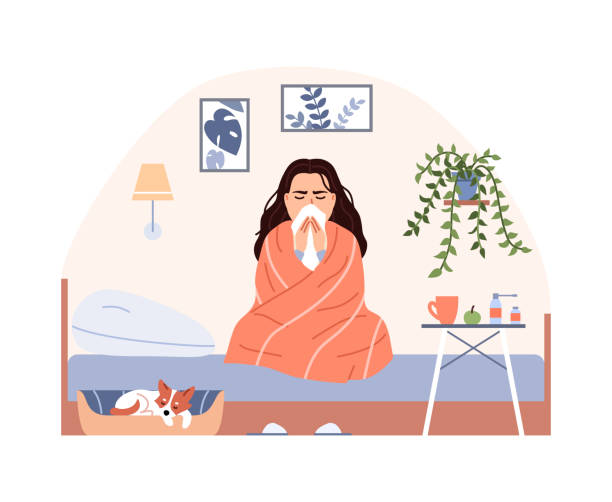 Sick person on bed with blanket treatment. Flat common cold flu virus concept. Sneezing woman blow nose. Character has influenza infection cough runny nose fever. Medical cartoon vector illustration. Sick person on bed with blanket treatment. Flat common cold flu virus concept. Sneezing woman blow nose. Character has influenza infection cough runny nose fever. Medical cartoon vector illustration. cold and flu stock illustrations