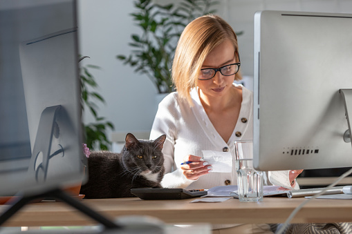 Woman using calculator to calculate the invoice, planning expenses while working on desktop from home office, sleepy black cat nearby on the table. Business from home