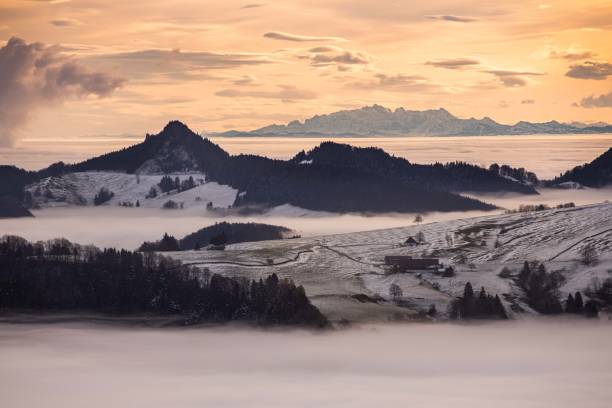 스위스 알프스를 향한 파왕에서 바라보는 경치 - 졸로투른 주 뉴스 사진 이미지