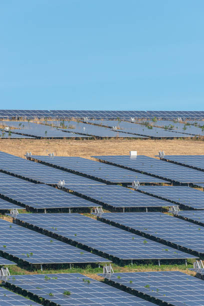 istock Big solar power plant as green ecofriendly energy converted from sunlight... 1300037752