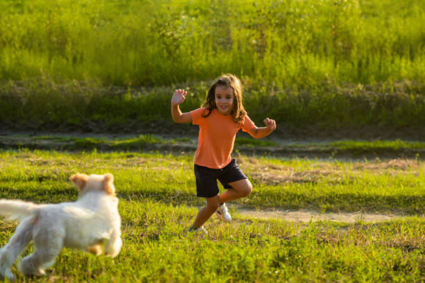 istock Love is a four-legged word 1300040237