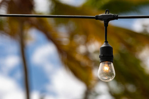 istock Bare Light Bulb with soft focus Palm Trees in the background 1300040375