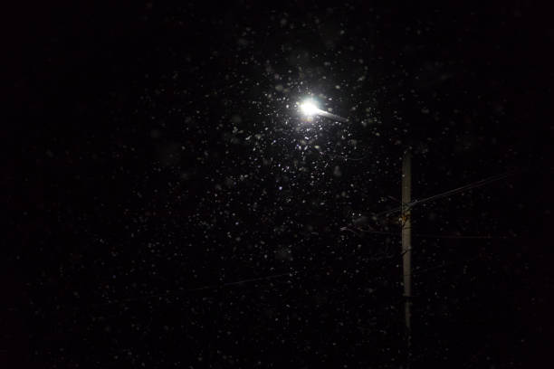 Street lamp at winter night during snowfall