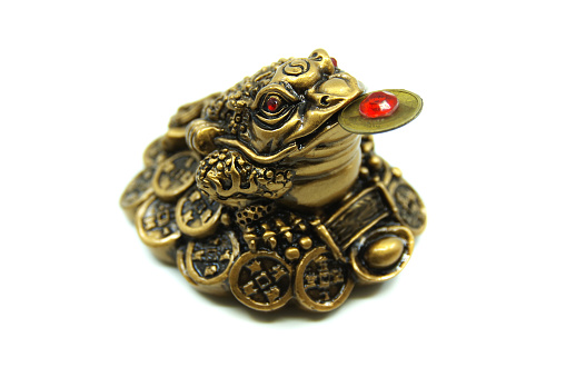 Chinese Feng Shui lucky money frog with coin. Isolated on white background. Closeup