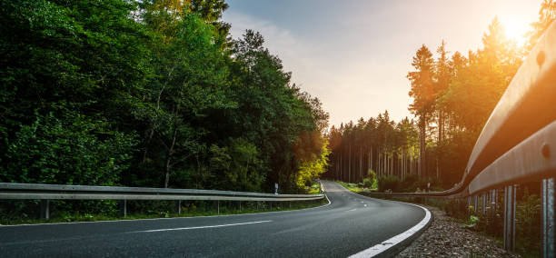 Long Curvy Forest Road In Alpine Mountains