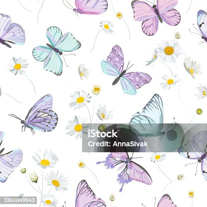 istock Seamless daisy flowers and butterfly vector background. Spring floral watercolor pattern. Summer beautiful textile, rustic wallpaper, camomile illustration, garden fabric, wrapping paper design 1300049543