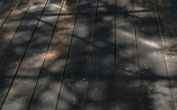istock Old brown rustic wood plank floor and fallen leaves with sunlight shine passed through trees and make shadow on the floor. 1300049679