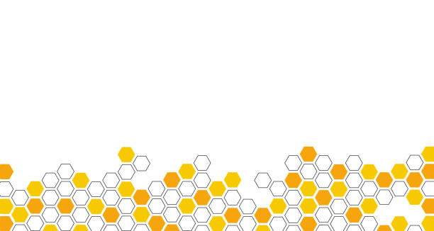 ilustrações, clipart, desenhos animados e ícones de hexagon beehive honeycomb amarelo padrão perfeito ilustração vetorial de faixa de fundo. - colmeia