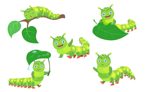 421 Caterpillar Face Illustrations & Clip Art - iStock