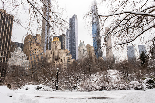 A view of snow in Central Park